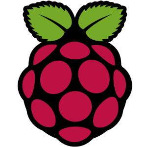 Raspberry Pi Logo